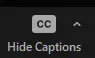 Zoom Hide Captions