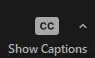 Zoom Show Captions